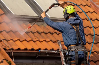 Démoussage et hydrofuge de toiture à Présilly